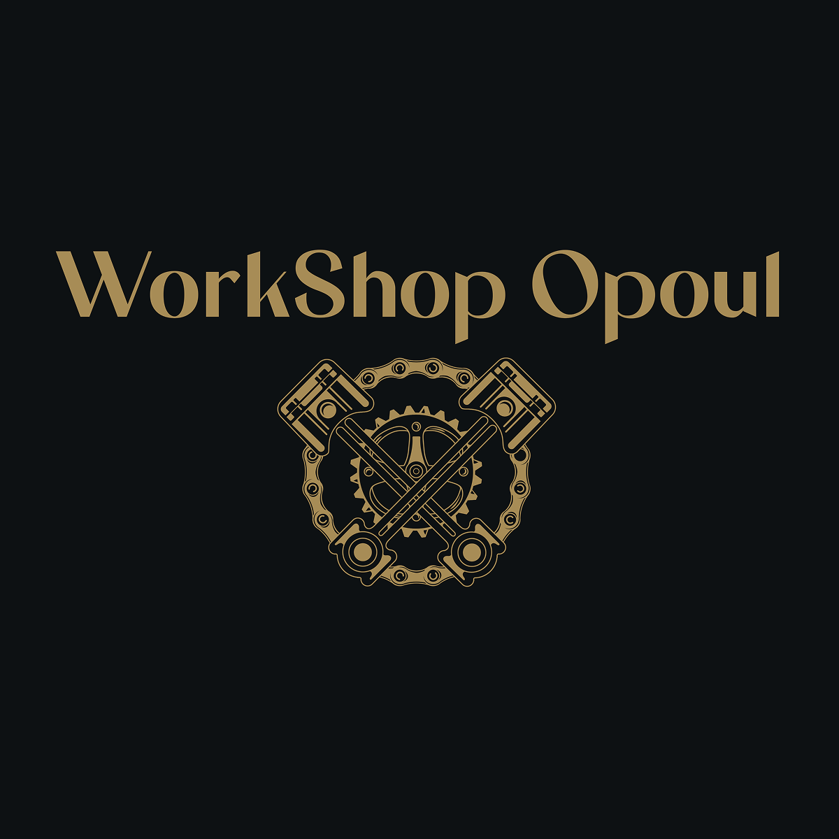 WORKSHOP OPOUL