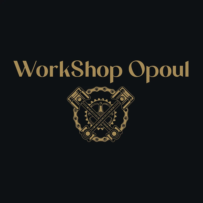 Logo professionnel sur fond noir, texte doré "WorkShop Opoul" en typographie serif élégante